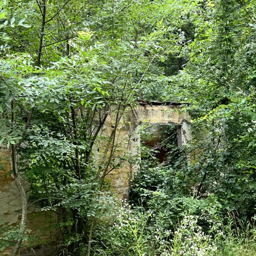 Beyond Refugee Trauma