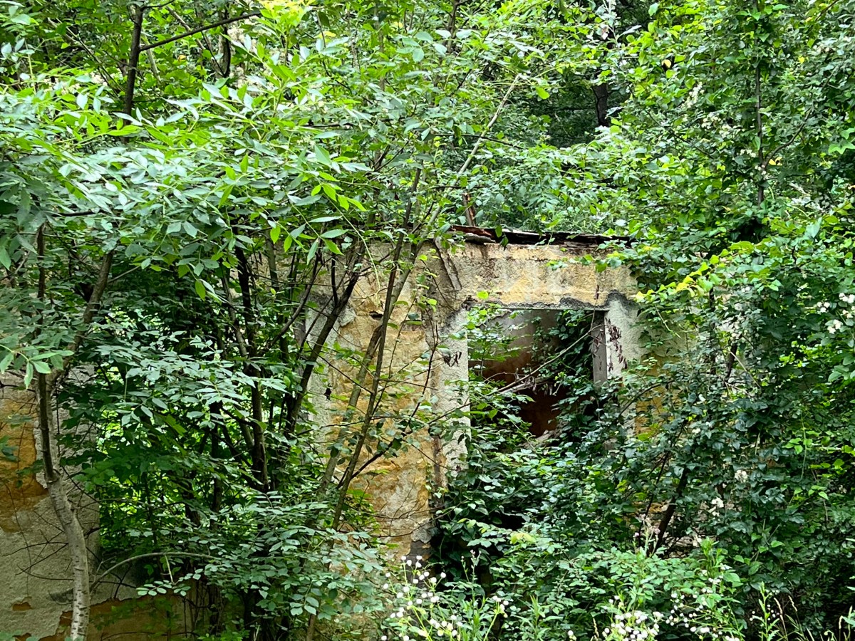 The Boy Who Waited by the&nbsp;Door